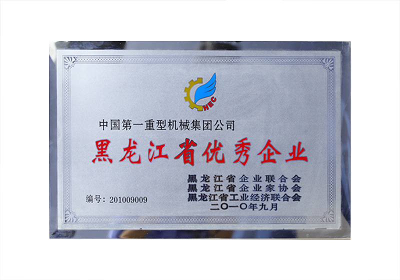 黑龙江省优秀企业NO. 201009009
