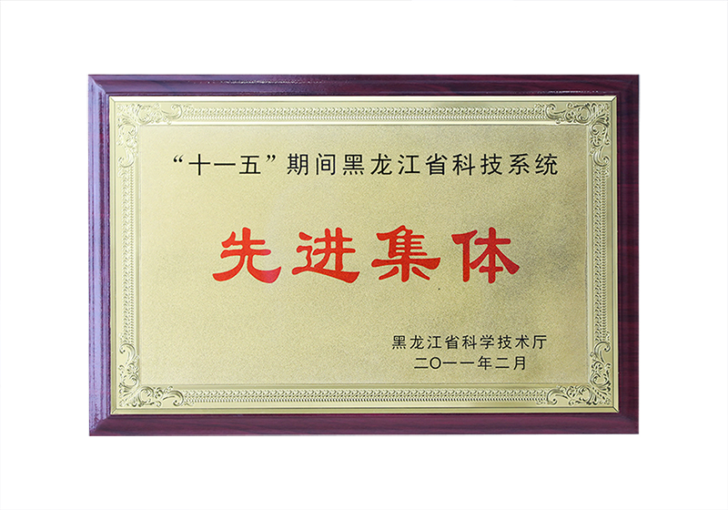 “十一五”期间黑龙江省科技系统——先进集体